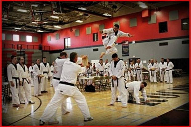 Regional Tae Kwon Do