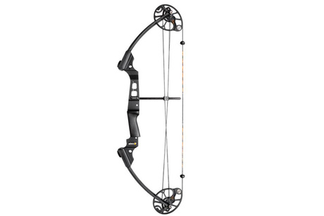 Treestand Archery