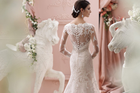 Embroidered Lace Bridal Gown From David Tatera El Paso Tx Auctions Seize The Deal