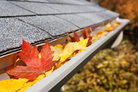 All Craft Exteriors