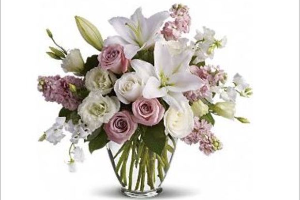 Daisy A Day Floral & Gift