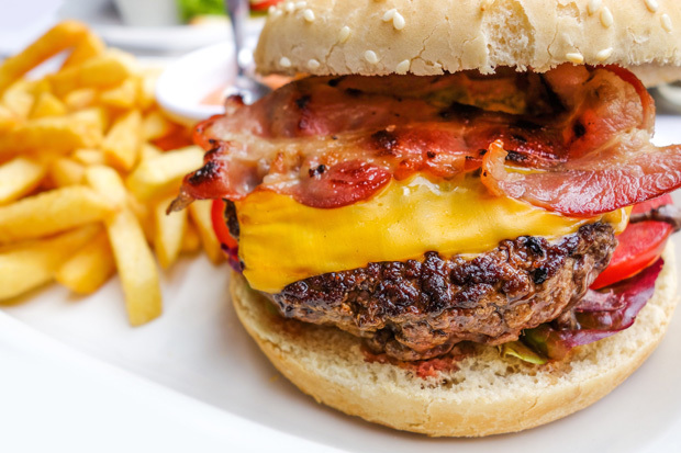 Burgerwithfriesresized