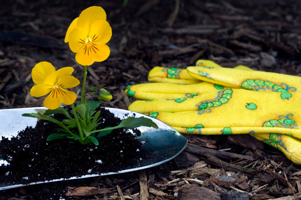 Fick Landscape Supplies