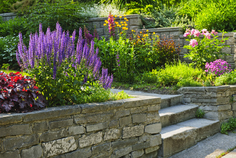 John's Tree Service & Landscaping