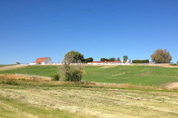 Oakridge Montessori School
