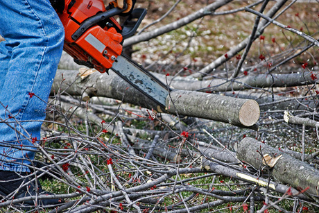 Jonsered CS 2255 Chainsaw from Pen-Bay Tractor | Augusta - Waterville ...