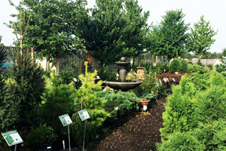 Wapsie Pines Nursery & Greenhouse