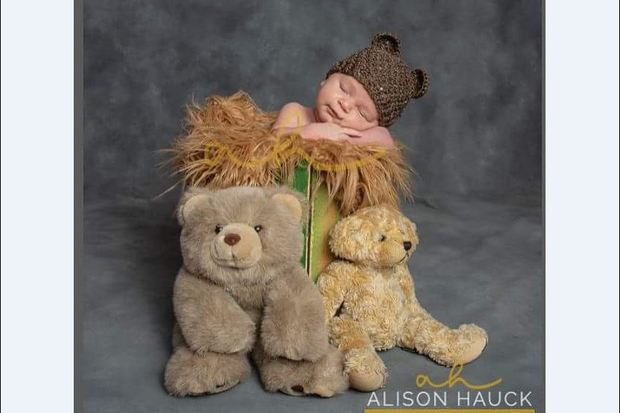 Alison Hauck Portraits & Design, LLC