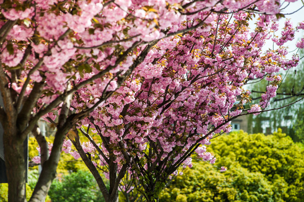 RA Robinson Landscaping