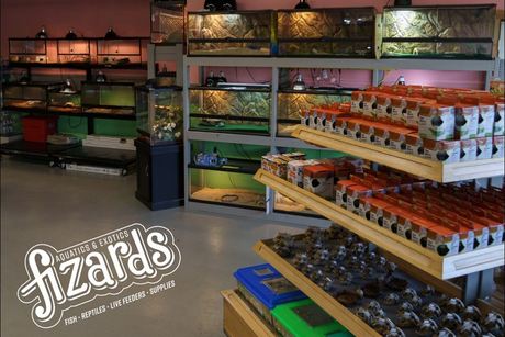 fiberglass pole terraria