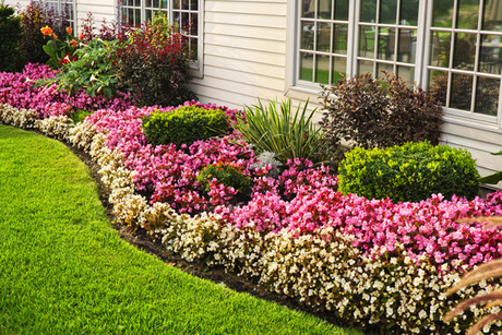Parisi Landscaping