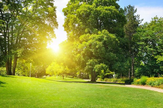 Midwest Lawn Experts