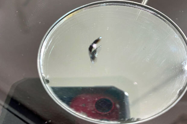 ProMobile Auto Glass