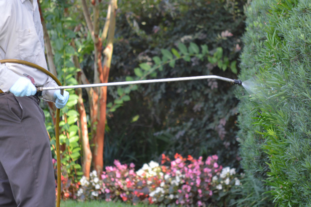 Maine Tick and Mosquito Control