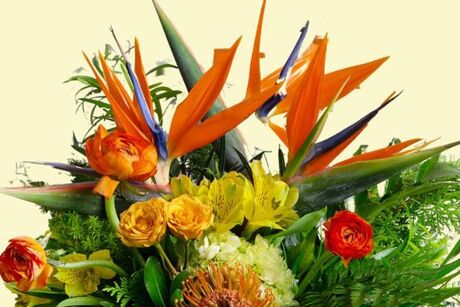 Bovan Floral Group