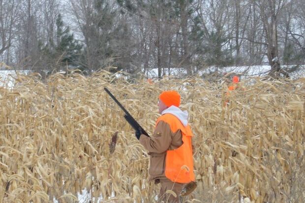 Sand Pine Pheasants