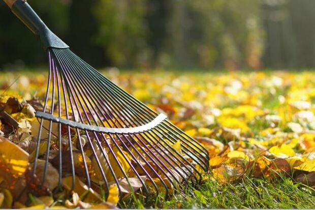 Ehlinger Lawn Service