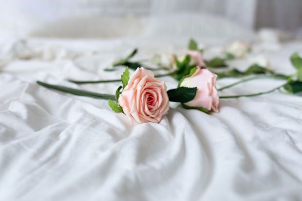 Shelly Rose Photography