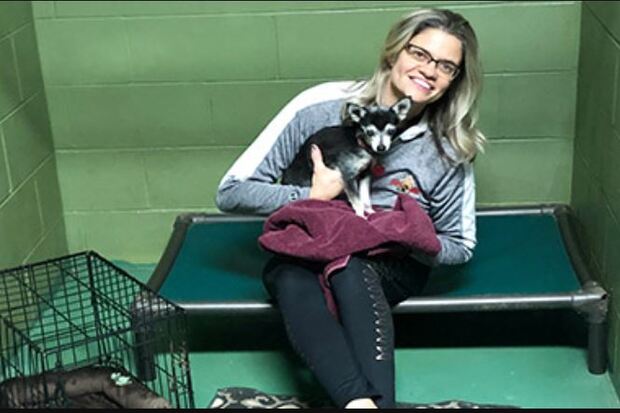 Cozy Home Pet Care