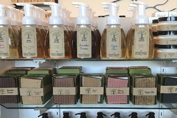 Weeping Willow Heartfelt Gifts