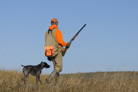 Midnight Retrievers