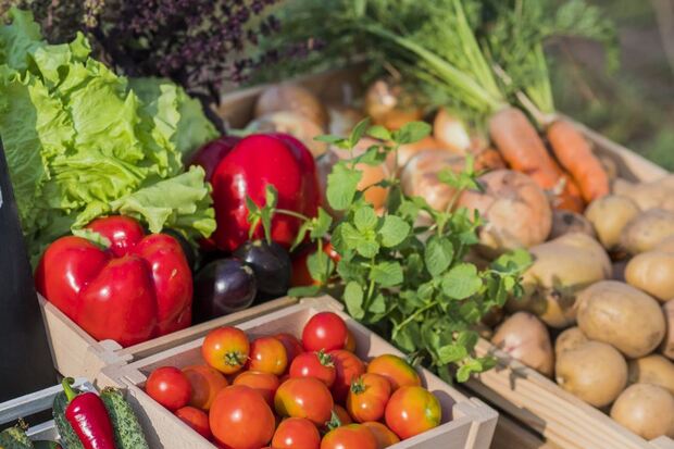 Princetonfarmersmktfrommediactr