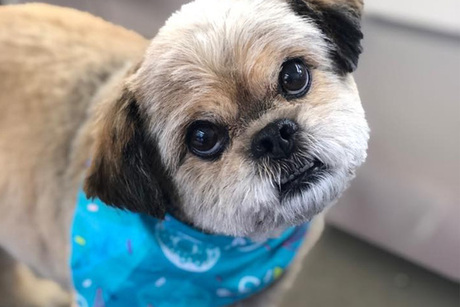 Park 'N' Bark 