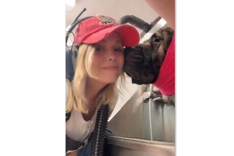 Buzzy Bees Mobile Pet Grooming