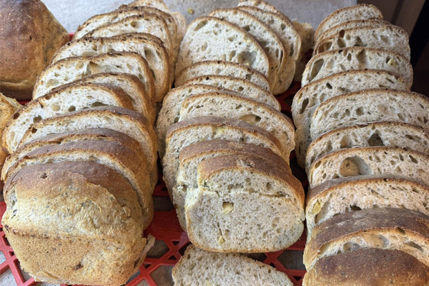 Sourdoughbakers1