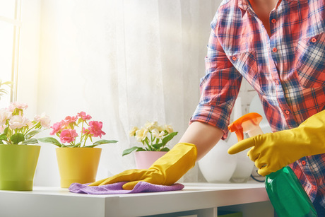 MaidPro Danbury