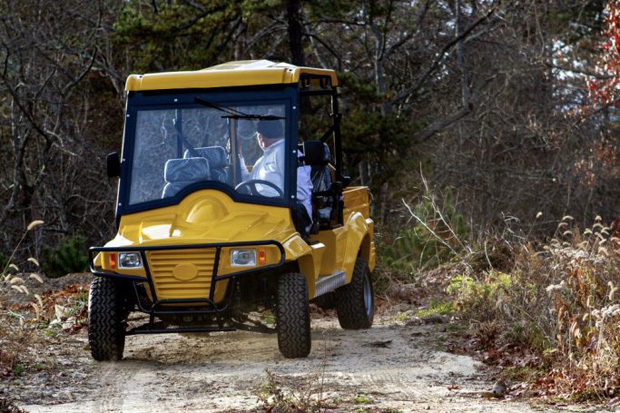 AMC Golf Carts