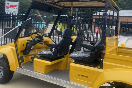 AMC Golf Carts