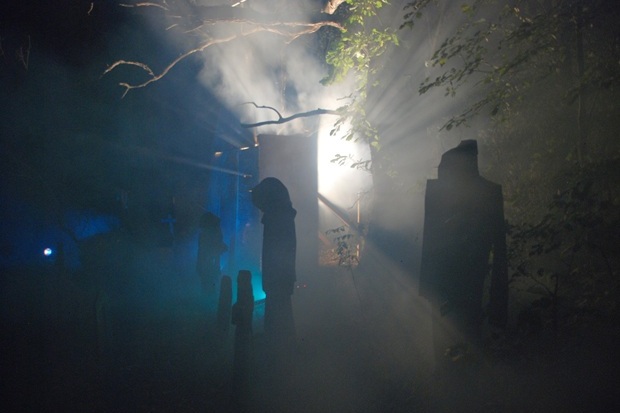 Fear forest 1