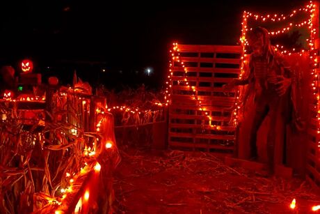 Paul Bunyan Land
