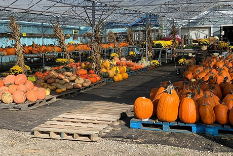 Andy T's Farm Market