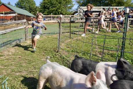 Peacock Road Family Farm