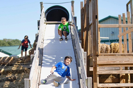 Peacock Road Family Farm