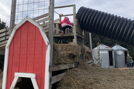 Peacock Road Family Farm