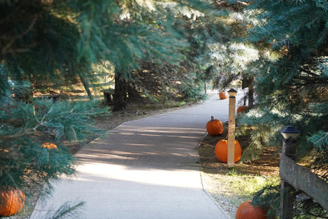 Peacock Road Family Farm