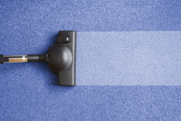 Catamount Carpet Cleaning of the Berkshires