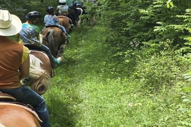 Shenandoah Riding Center