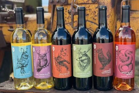 LaNoue DuBois Winery