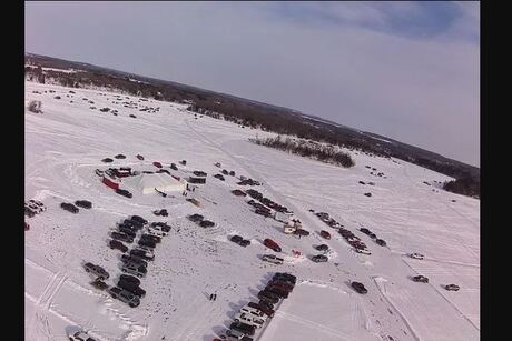 Catfish Fest on the Chain