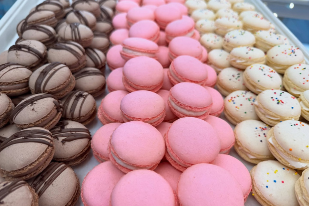 Sugarjones Bakery & SJ Cafe