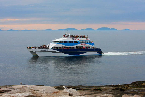 Bar Harbor Whale Watch