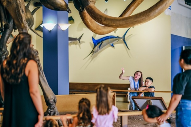 Owensboro Museum of Science & History