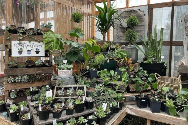 Duluth Flower Farm Garden Center, Florist, Gift Shop and Nursery