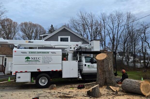 Northeast Landcare LLC