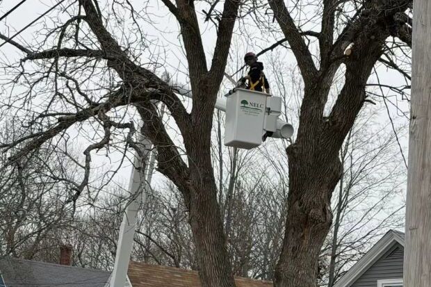 Northeast Landcare LLC