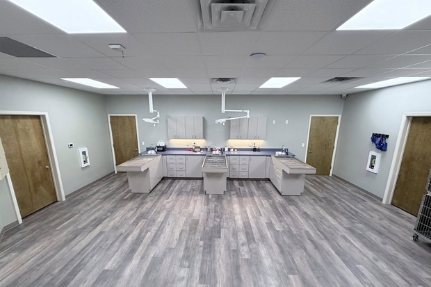 Progressive Pet Hospital